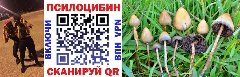 Псилоцибиновые грибы MAGIC MUSHROOMS  где продают   Козловка 